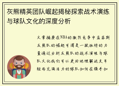 灰熊精英团队崛起揭秘探索战术演练与球队文化的深度分析
